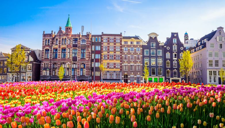 Everything you need to know about studying in the Netherlands | Student