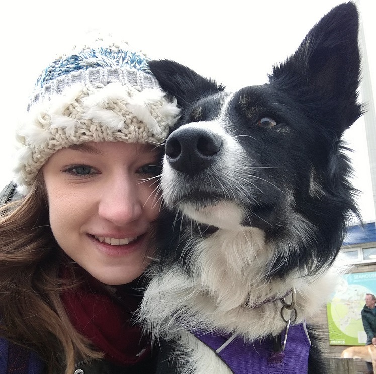 Student volunteering with guide dogs