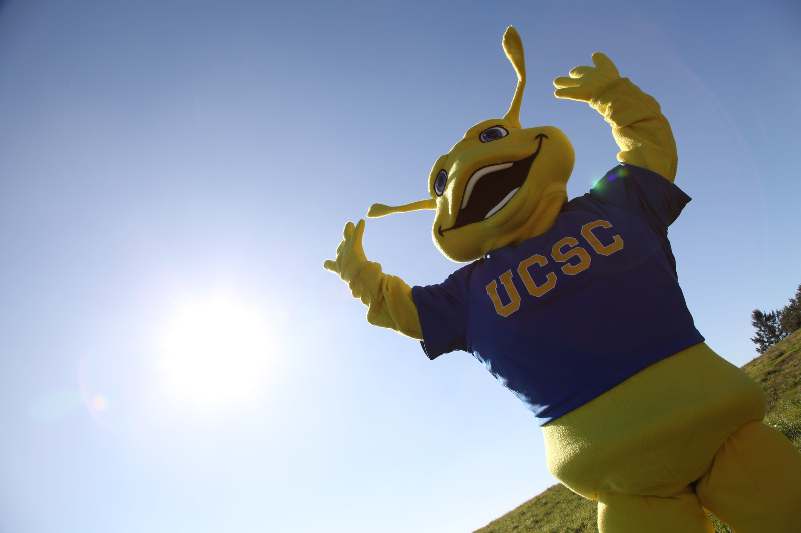 Weird US College football mascots