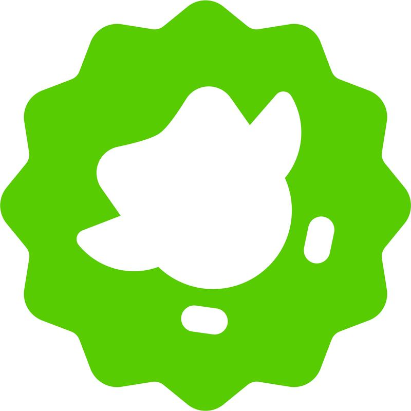 Duolingo's avatar