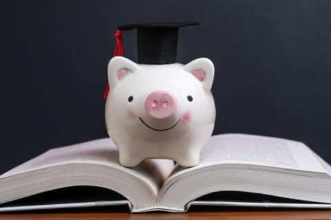 Smiling piggy bank in between a book