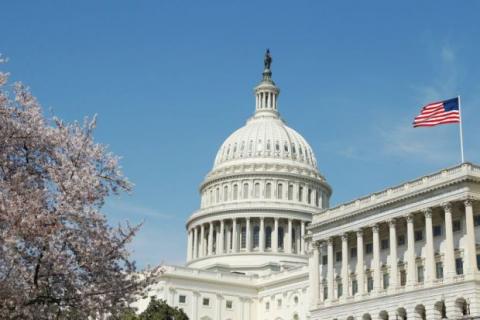 US Congress and American flag