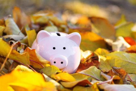 piggy bank in autumn leaves