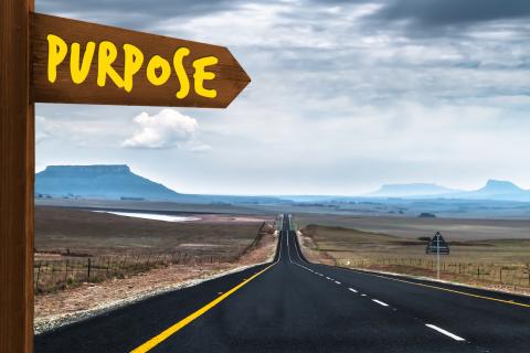 signpost towards purpose