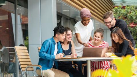 Students studying outside together