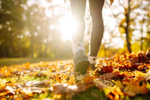 woman walking in nature