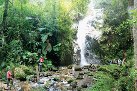 Conservationists working near waterfall
