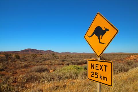 Kangeroo road sign in Australia