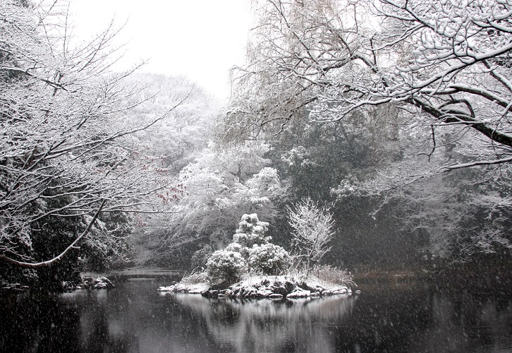 Most beautiful universities in East Asia - University of Tokyo